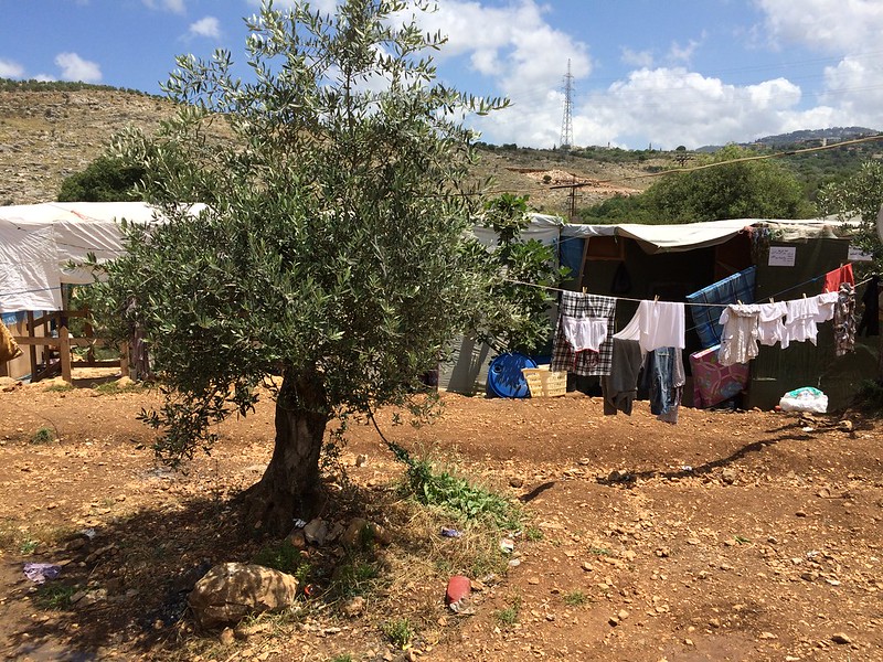 I Libanon flyktingarna bor trångt, huvudsakligen i plasttält i utkanterna av städer eller byar. Bild: Ashraf Saad Allah AL-Saeed / World Bank