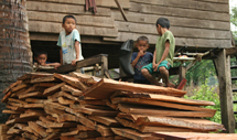 Metsärikkaassa Laosissa talot rakennetaan puusta. Kuva: Marja-Leena Kultanen