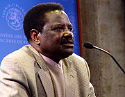 Namibias jordbruks-, vatten- och skogsminister Nickey Iyambo.
