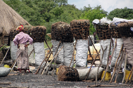 Puuhiiltä myydään pääkaupungista Lusakasta kuparivyöhykkeelle vievän tien varressa. Kuva: Laura Heiskanen