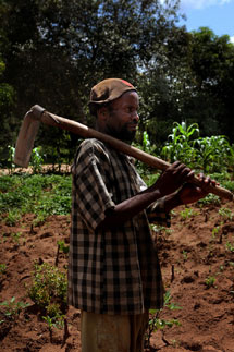 Ruokaturva Mosambik. Renato Mucori viljelee maata. Kuva: Liisa Takala