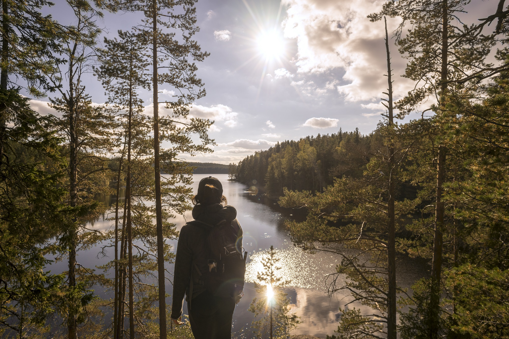 A hiker in a forest, looking at the lake in front of her.