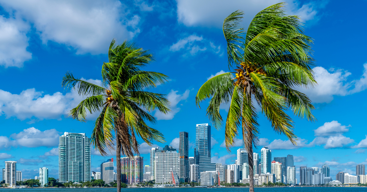 Maisemakuva Miamin palmuista