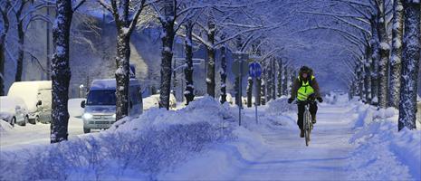 Финны ездят на велосипеде даже зимой 