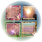 Farbstoffsolarzelle