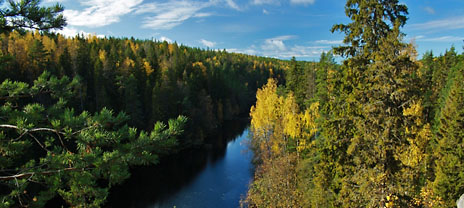 Finlândia, indústria florestal, florestas, lazer, meio ambiente, sustentabilidade, Metso, Stora Enso, Ponsse, UPM, Grupo Metsä, bioenergia, bio-óleo