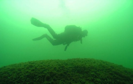 Finnish Inventory Programme for the Underwater Marine Environment, VELMU, Baltic Sea Action Group, Gulf of Finland, Archipelago Sea, Bothnian Bay, Helsinki, St Petersburg