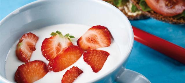 Gastronomía finlandesa, productos lácteos, leche, yogur, suero de mantequilla, mazada, piimä, rahka, queso fresco batido, viili, queso fresco al estilo casero, kotijuusto, pan de queso, leipäjuusto, Consejo de Nutrición Láctea, Lactobacillus rhamnosus GG, LGG®, Gefilus®, probiótico, Zero Lactose™, Helsinki, Finlandia