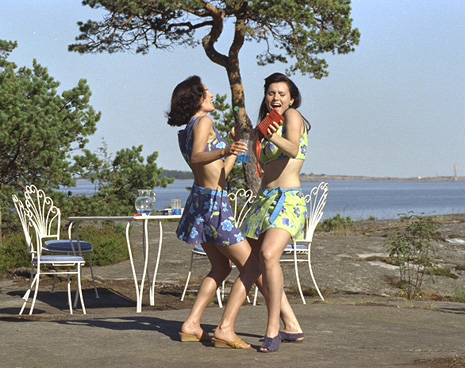 hanat naiset rannalla kertoo kahden kotirouvan ystävystymisestä 1960-luvun Suomessa.