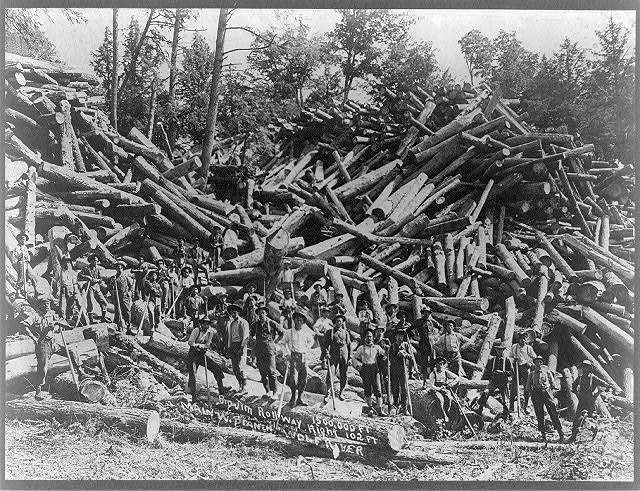 Many Finns ended up working in logging