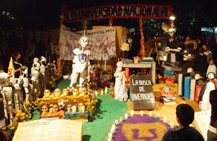 Pumas muertos