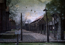 Rax Rinnekangas: Auschwitz, Poland 2000.