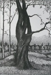Vanha puu