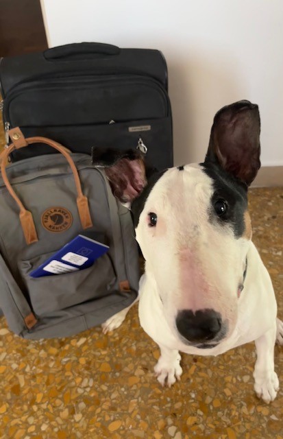 Berta traveling 